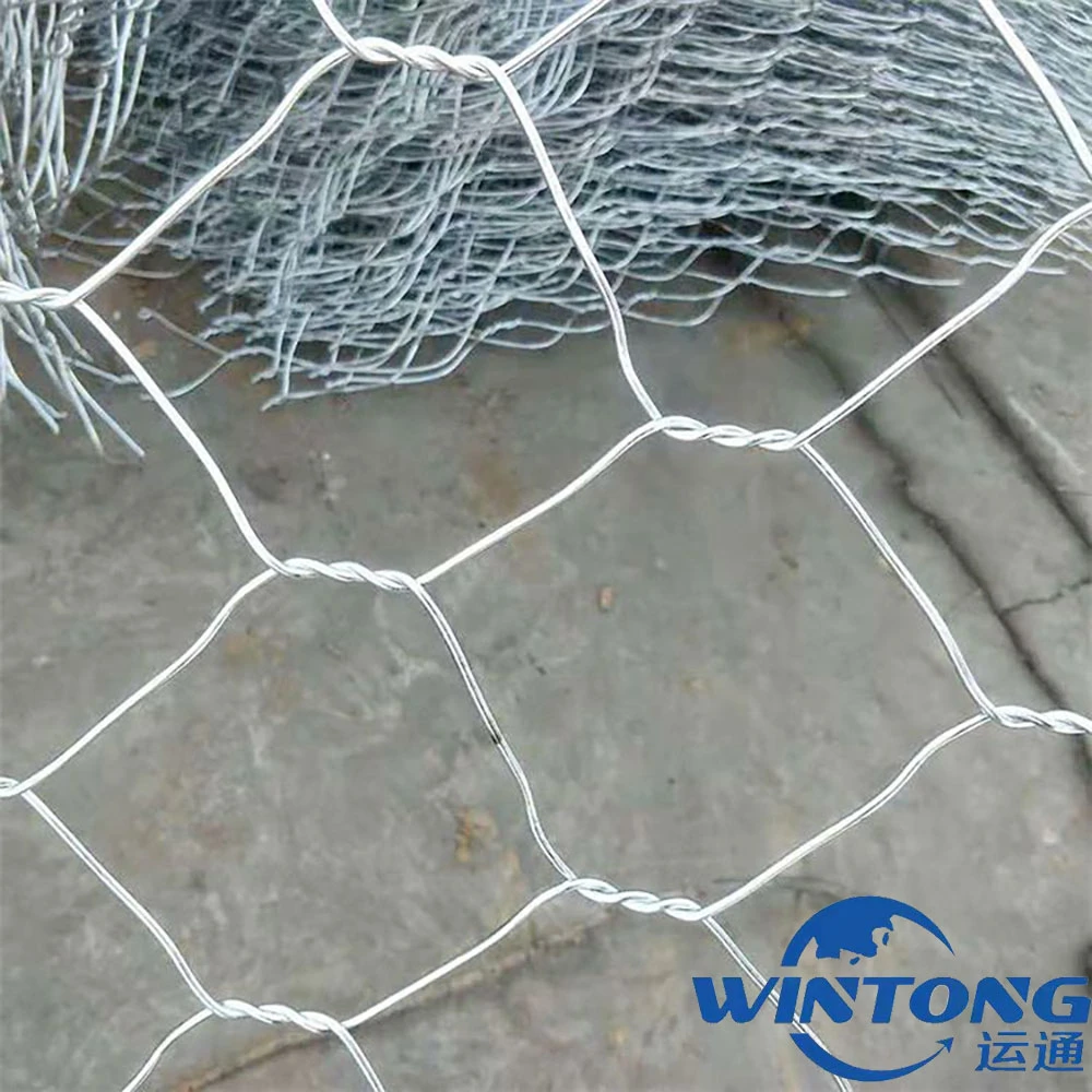 Galvanized / Plastic Coated / Protective / Welding / Hexagonal / Steel Wire Mesh