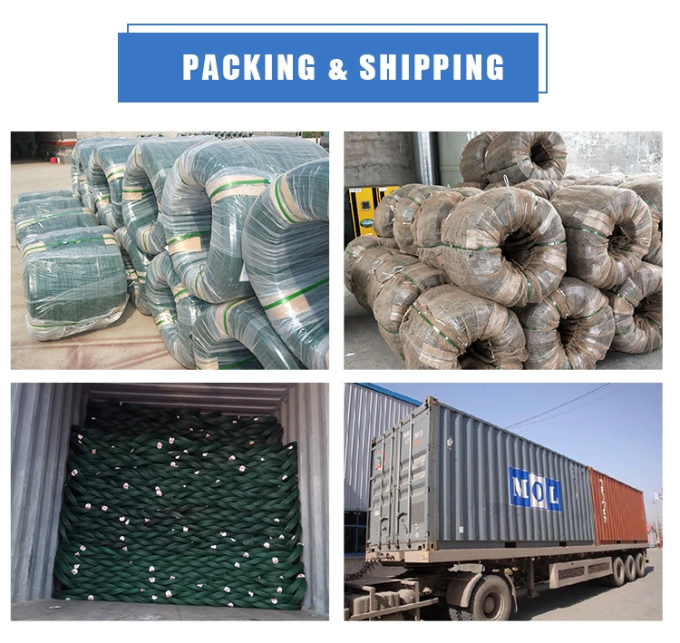 PVC Coated Wire Electro Galvanized Steel Wire Iron Wire