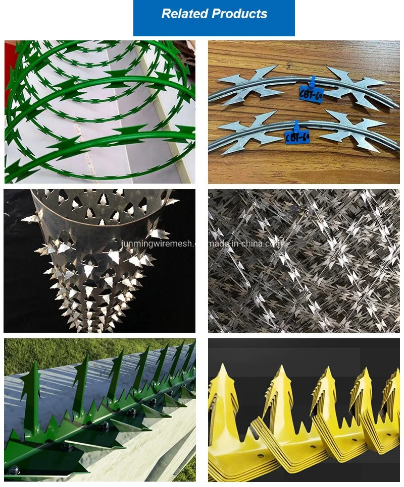 Hot Dipped Galvanized Barbed Wire for Mesh Security Fencing