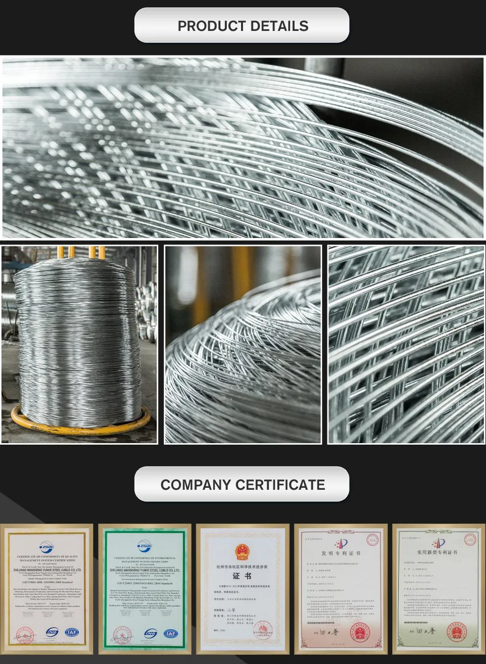 Hot/Electro DIP Galvanized Steel Wire Low Carbon Iron Wire for Mesh Chinese Manufacturer Best Price 0.5-5.0mm