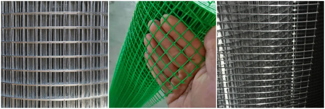 PVC Coated Green Wire Netting Galvanized Welded Wire Mesh for Garden Fence and Cages