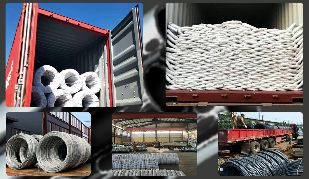 Wholesale Q235 Q345 Q355 ASTM AISI Hot Rolled Cold Drawn Electro Zinc Coated Iron Galvanized Steel Wire