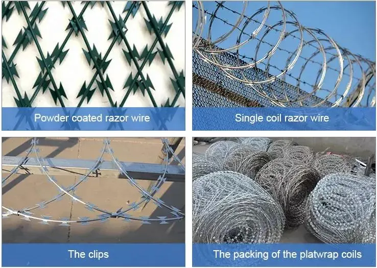 Per Roll Security Fencing Razor Wire Mesh Galvanized Safety /Decorative Barbed Wire Fencing/Barbed Wire Mesh