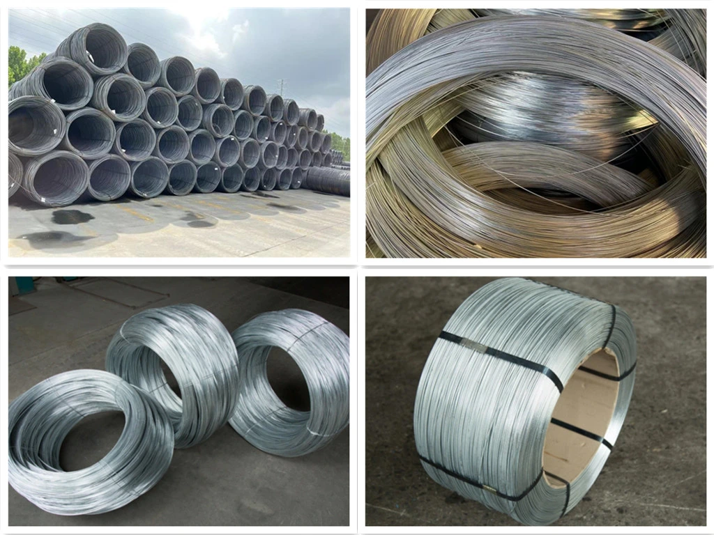 Ms Steel Wire Rod SAE 1008 /1006 0.3mm 6.5mm ASTM 14 Gauge Hot Dipped Galvanized Steel Wire for Manufuacturing Building Packaging