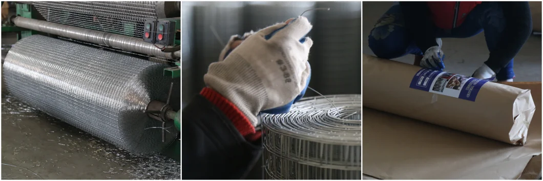 3/4"Inch Galvanized Welded Wire Mesh Fence PVC Coated Welded Rabbit Cage Wire Mesh Prices