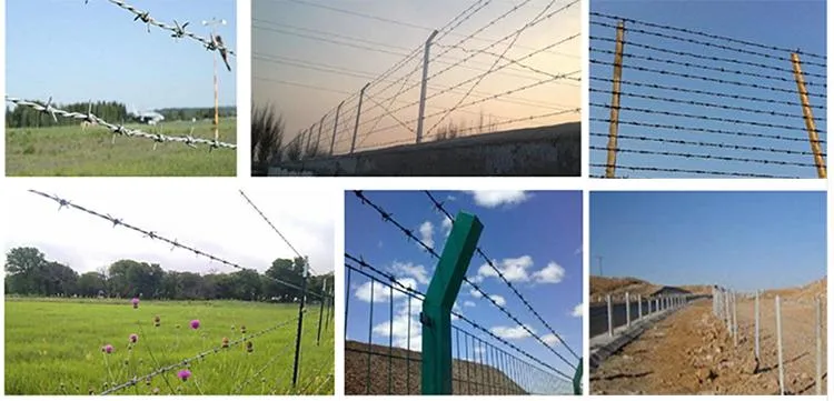 Wholesale Factory Hot DIP Galvanized Barbed Security Wire Barrier Wall Fence Barbed Wire