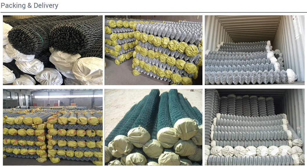 2.5mm Wire 50X50 Diamond Mesh Hot DIP Galvanized 6 Feet Chain Link Iron Wire Mesh Fence PVC Coated Chain Link Fencing 50FT Rolls