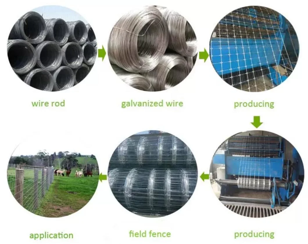 Wholesale Hot Sale Cheap Galvanized Sheep Livestock Wire Mesh Rolls Security Farm/Horse Cattle Field Fence for Fixed Knot/Deer/Game