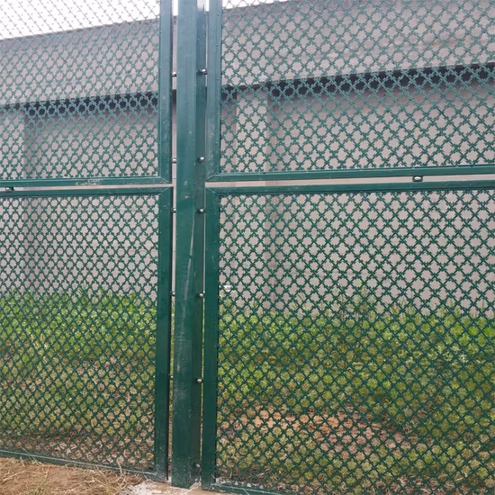 Hochwertiger, PVC-beschichteter Rasiermesser-Stacheldraht, hergestellt in China